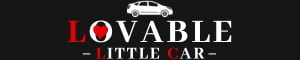 Get a Ride from Airport with Lovable Little Car LLC